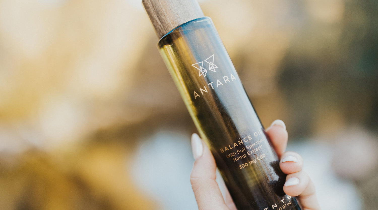 Why We Love Balance Oil for Massage Therapy