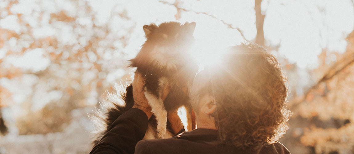 Man holding his dog up into the sunshine