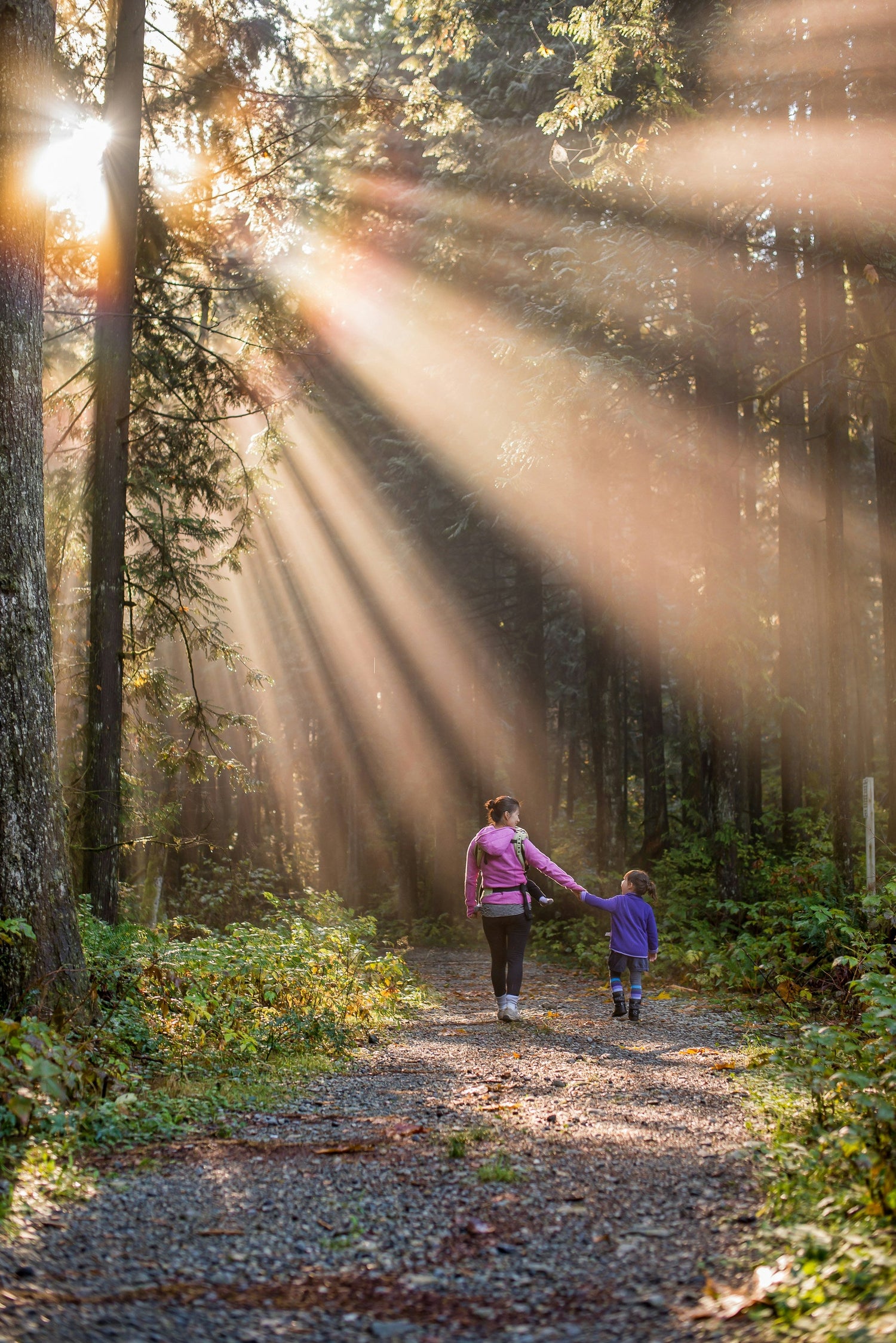 Celebrate Earth Day: Sustainable Rituals for a Greener Life