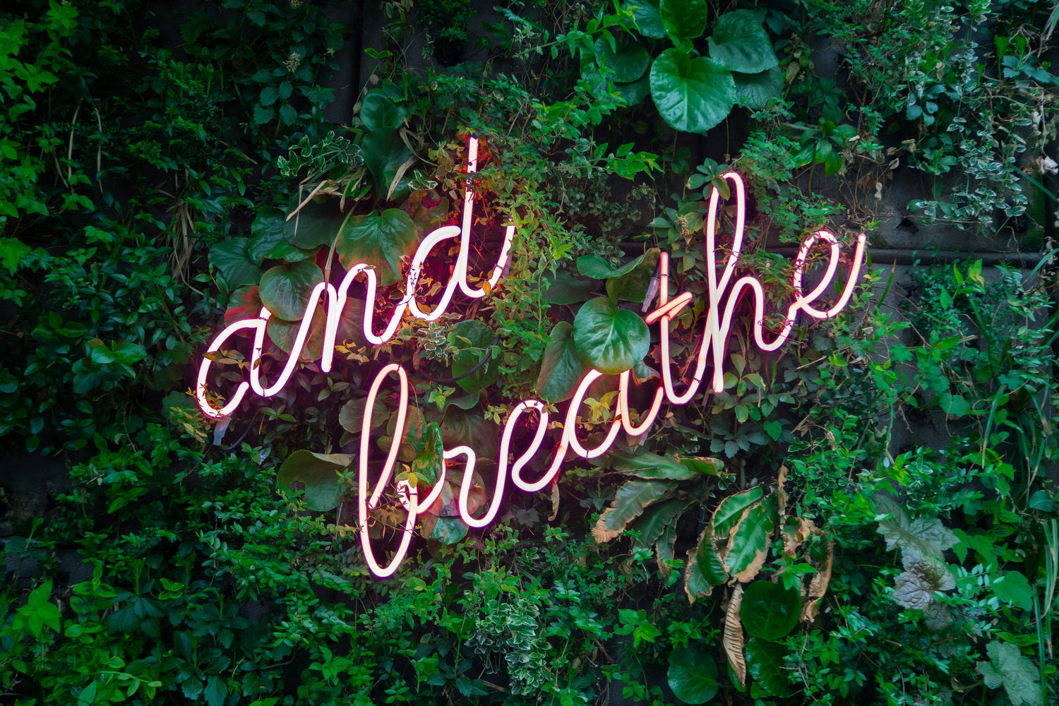 Don't Panic! A Stress Awareness Month Guide to Comforting Routines and Healthy Habits